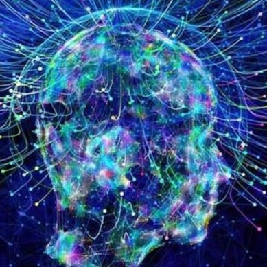 The Role of Consciousness in the Universe